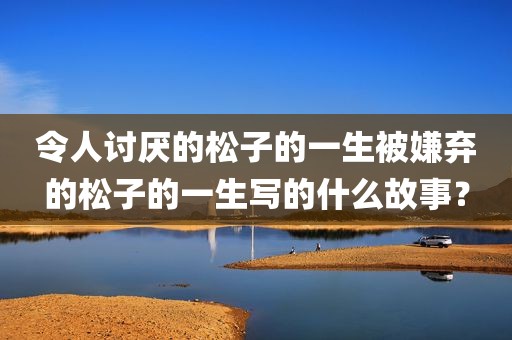 令人讨厌的松子的一生被嫌弃的松子的一生写的什么故事？