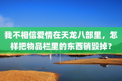 我不相信爱情在天龙八部里，怎样把物品栏里的东西销毁掉？