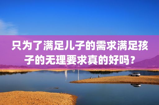 只为了满足儿子的需求满足孩子的无理要求真的好吗？