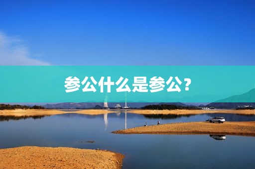 参公什么是参公？