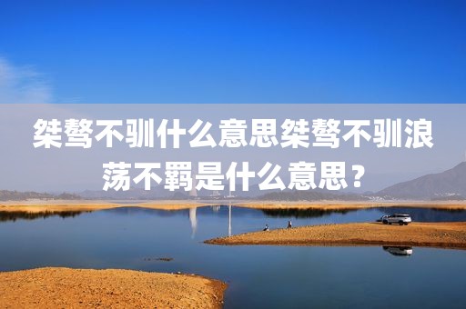 桀骜不驯什么意思桀骜不驯浪荡不羁是什么意思？