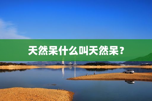 天然呆什么叫天然呆？