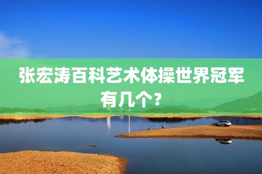 张宏涛百科艺术体操世界冠军有几个？
