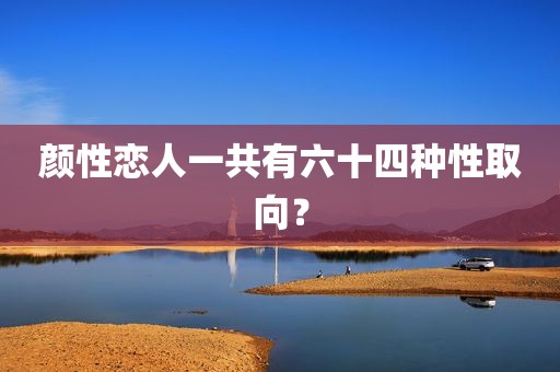 颜性恋人一共有六十四种性取向？