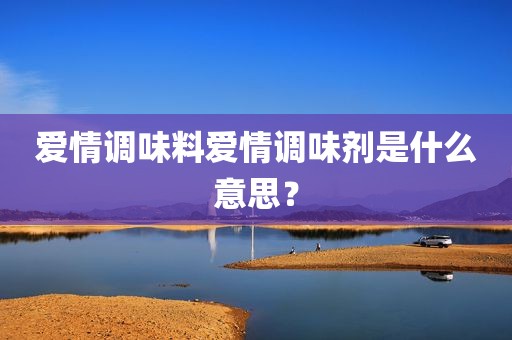 爱情调味料爱情调味剂是什么意思？