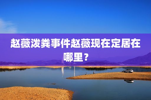 赵薇泼粪事件赵薇现在定居在哪里？