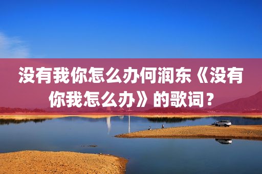 没有我你怎么办何润东《没有你我怎么办》的歌词？