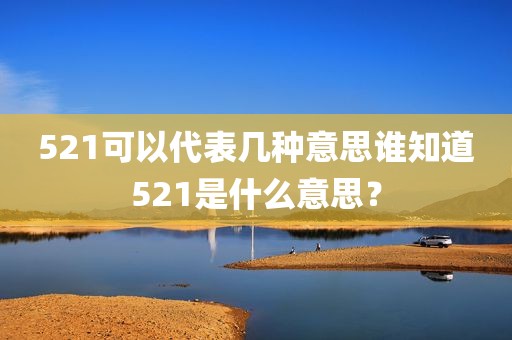 521可以代表几种意思谁知道521是什么意思？