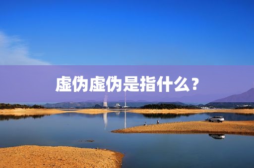 虚伪虚伪是指什么？