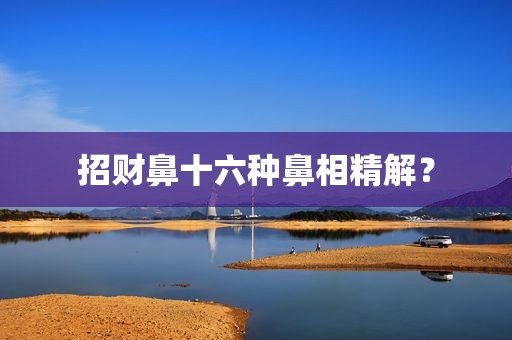 招财鼻十六种鼻相精解？