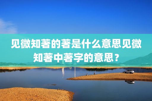 见微知著的著是什么意思见微知著中著字的意思？
