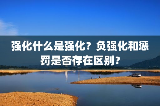强化什么是强化？负强化和惩罚是否存在区别？