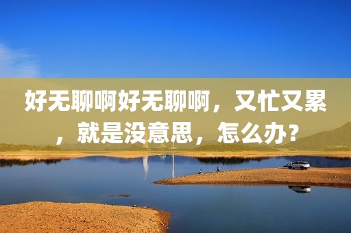 好无聊啊好无聊啊，又忙又累，就是没意思，怎么办？