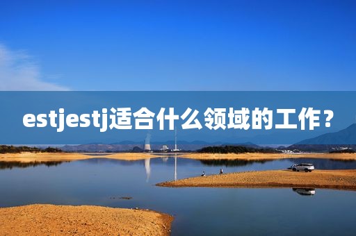 estjestj适合什么领域的工作？