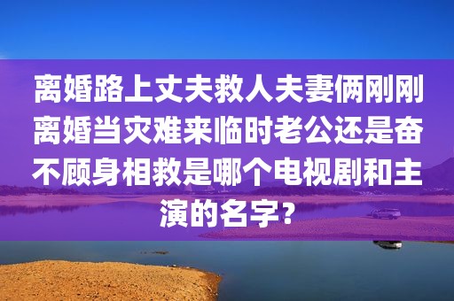 离婚路上丈夫救人夫妻俩刚刚离婚当灾难来临时老公还是奋不顾身相救是哪个电视剧和主演的名字？