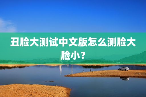丑脸大测试中文版怎么测脸大脸小？
