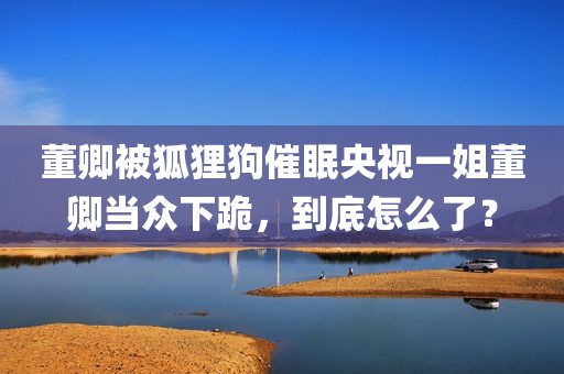 董卿被狐狸狗催眠央视一姐董卿当众下跪，到底怎么了？