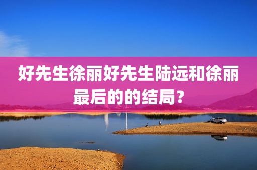 好先生徐丽好先生陆远和徐丽最后的的结局？