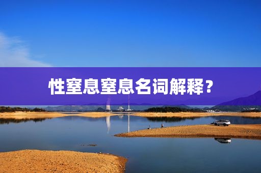 性窒息窒息名词解释？