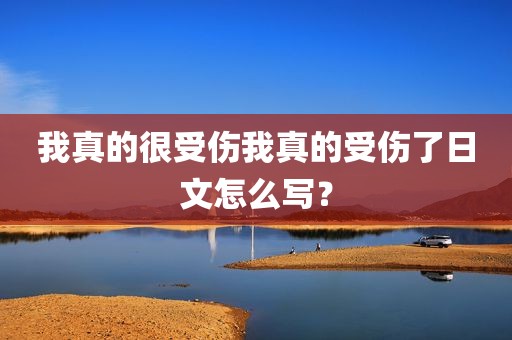 我真的很受伤我真的受伤了日文怎么写？