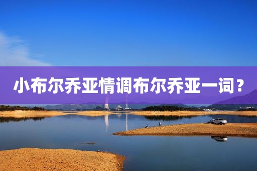 小布尔乔亚情调布尔乔亚一词？