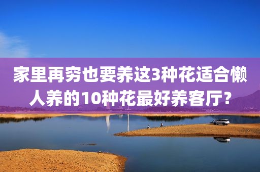 家里再穷也要养这3种花适合懒人养的10种花最好养客厅？