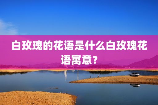 白玫瑰的花语是什么白玫瑰花语寓意？