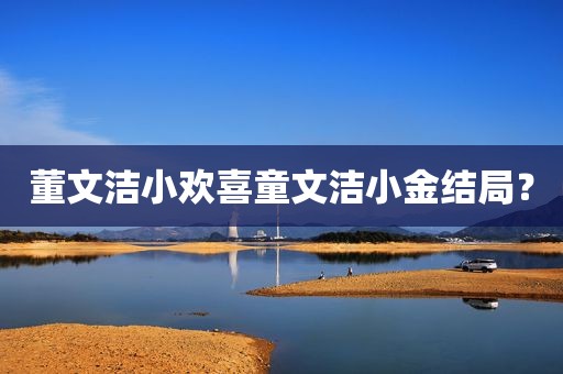董文洁小欢喜童文洁小金结局？