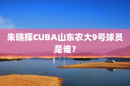 朱晓辉CUBA山东农大9号球员是谁？