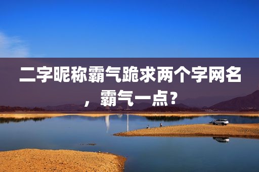 二字昵称霸气跪求两个字网名，霸气一点？