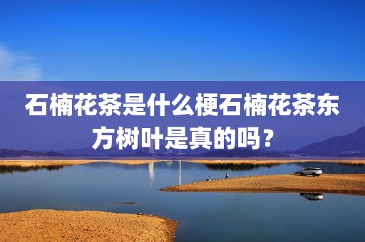 石楠花茶是什么梗石楠花茶东方树叶是真的吗？