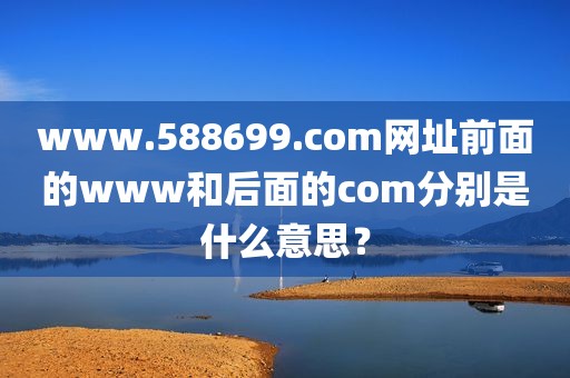 www.588699.com网址前面的www和后面的com分别是什么意思？