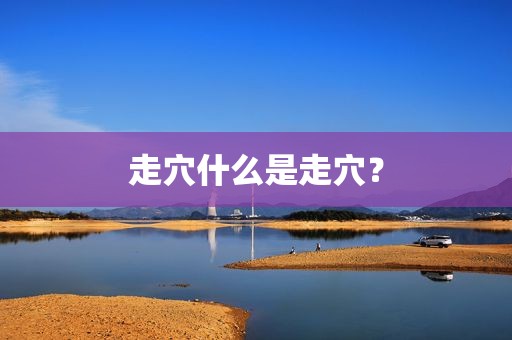 走穴什么是走穴？