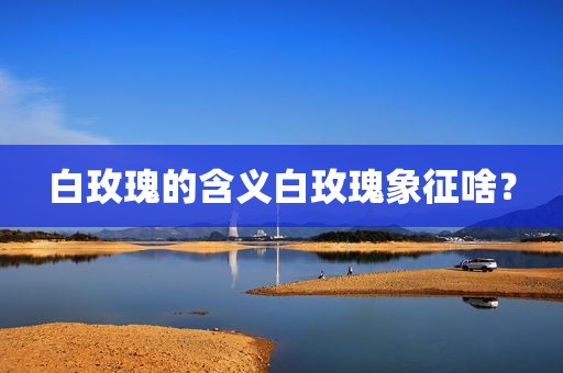 白玫瑰的含义白玫瑰象征啥？
