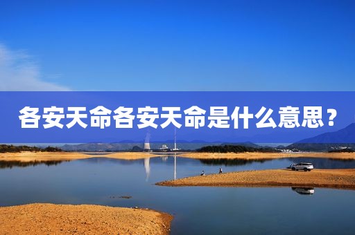 各安天命各安天命是什么意思？