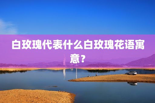 白玫瑰代表什么白玫瑰花语寓意？