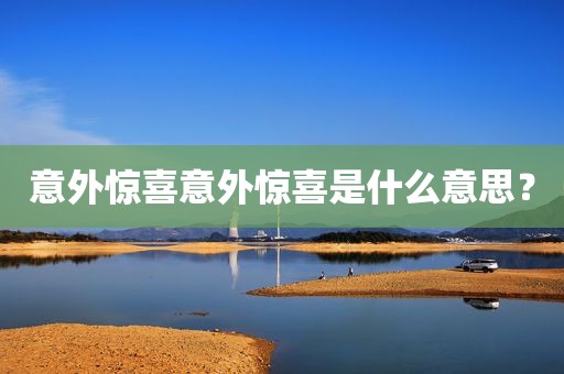 意外惊喜意外惊喜是什么意思？