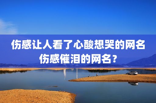 伤感让人看了心酸想哭的网名伤感催泪的网名？