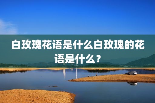 白玫瑰花语是什么白玫瑰的花语是什么？
