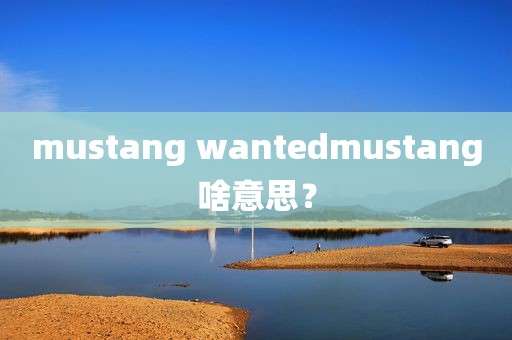 mustang wantedmustang啥意思？