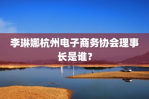李琳娜杭州电子商务协会理事长是谁？
