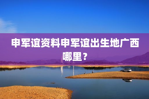 申军谊资料申军谊出生地广西哪里？