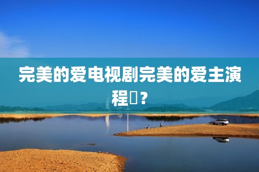 完美的爱电视剧完美的爱主演程琤？