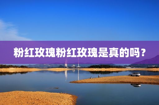 粉红玫瑰粉红玫瑰是真的吗？