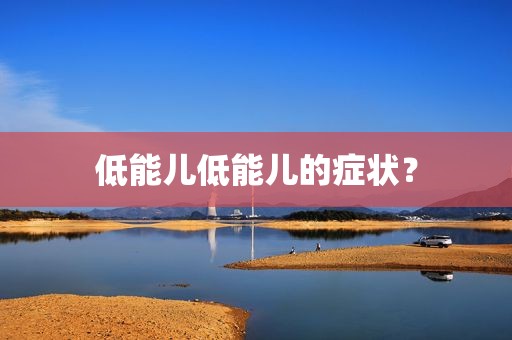 低能儿低能儿的症状？