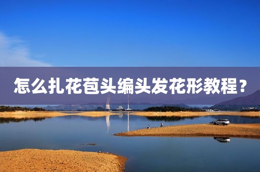 怎么扎花苞头编头发花形教程？