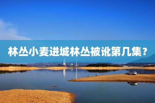 林丛小麦进城林丛被讹第几集？