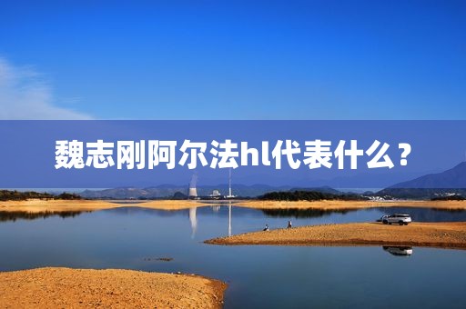 魏志刚阿尔法hl代表什么？