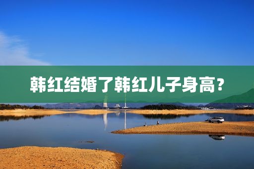 韩红结婚了韩红儿子身高？