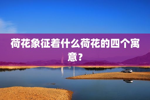 荷花象征着什么荷花的四个寓意？